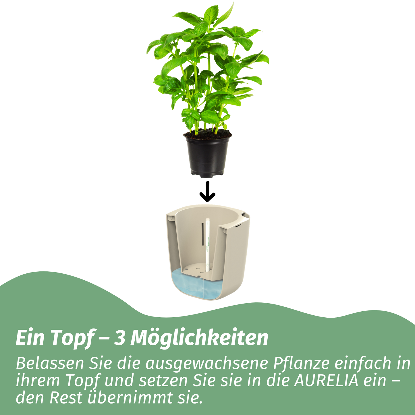 AURELIA PRO – Selbstbewässernder Pflanztopf mit smarter LED-Pflanzenbeleuchtung - beige