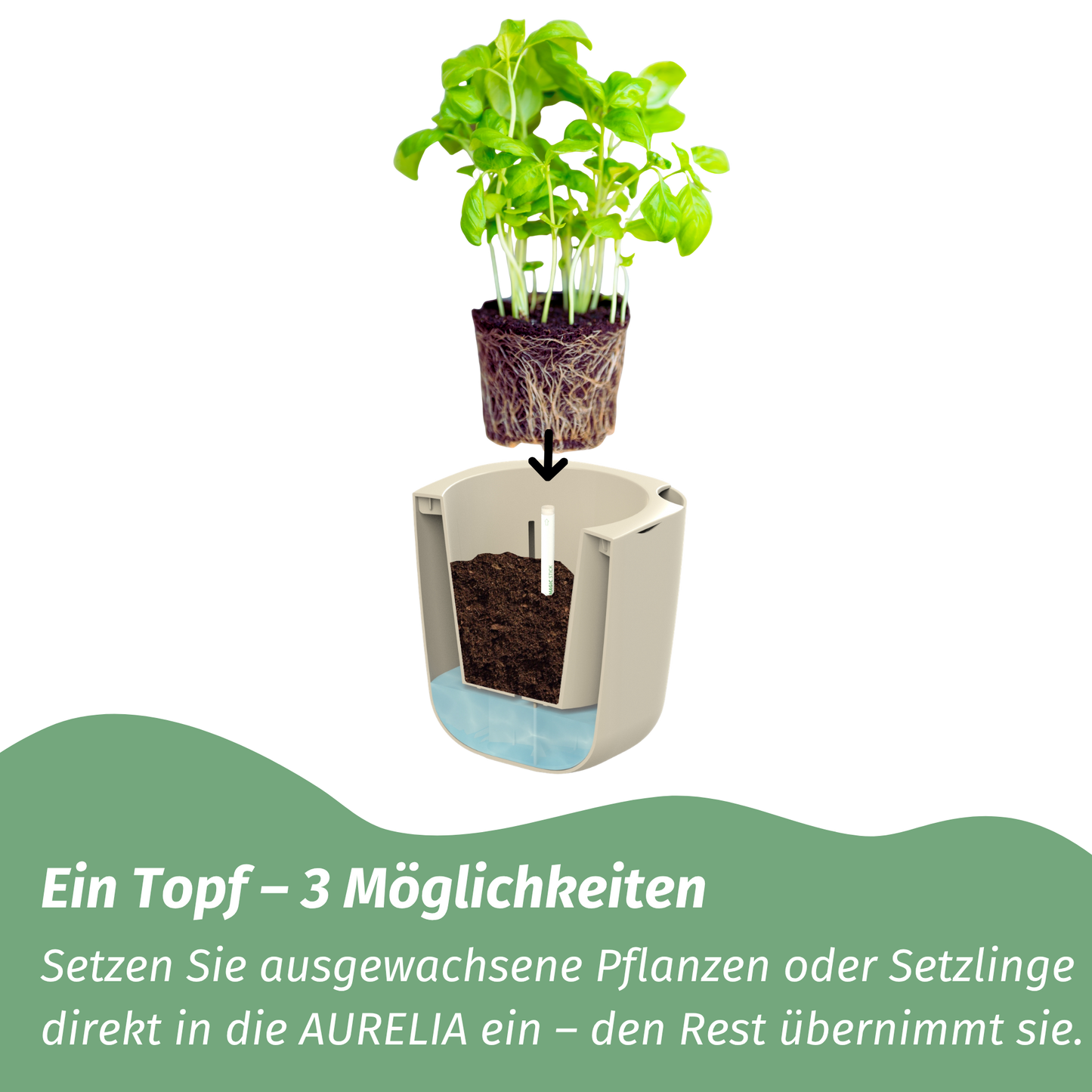 AURELIA PRO – Selbstbewässernder Pflanztopf mit smarter LED-Pflanzenbeleuchtung - beige