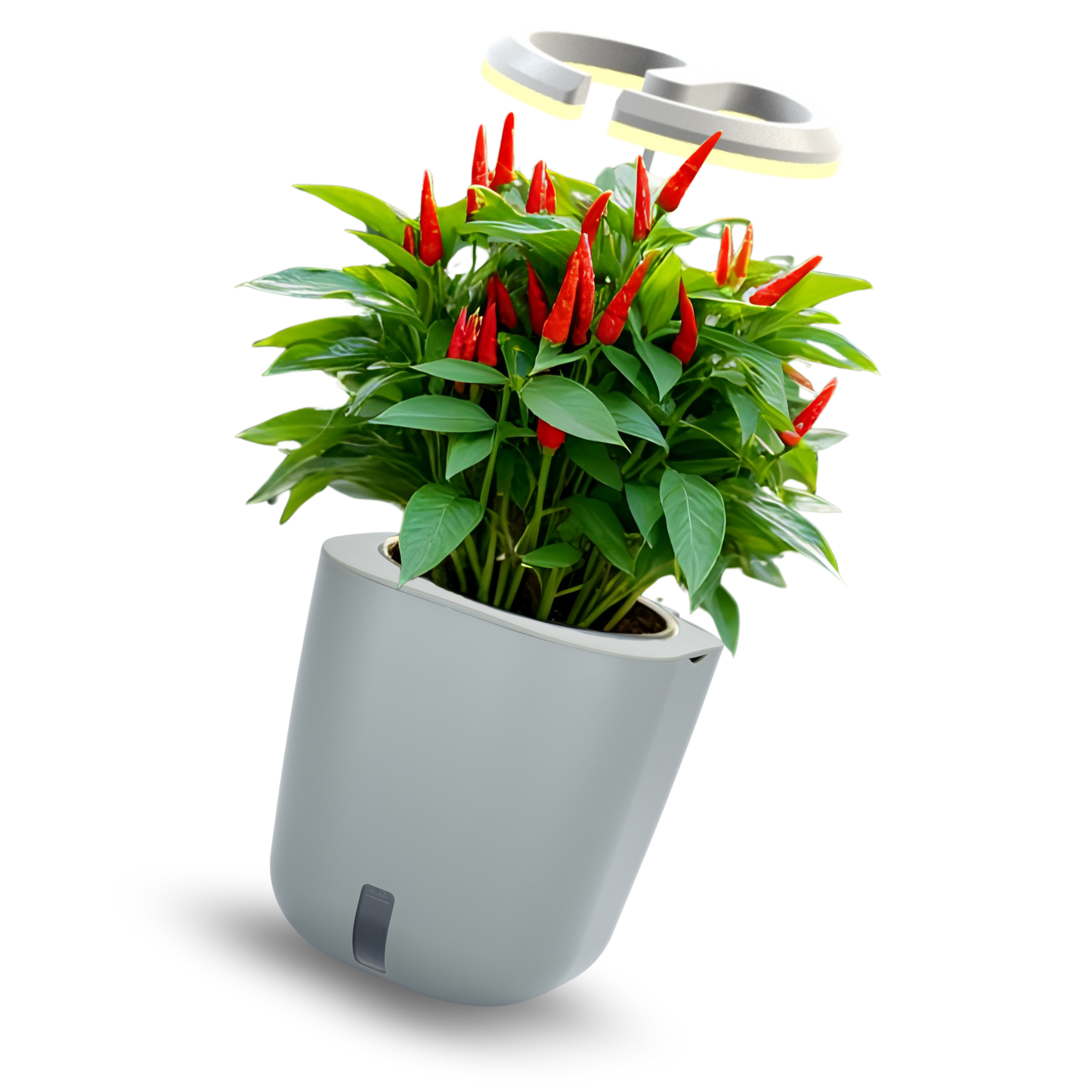 AURELIA PRO – Selbstbewässernder Pflanztopf mit smarter LED-Pflanzenbeleuchtung - beige