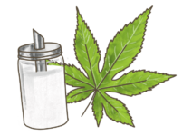Cannabis Zuckerstrauch