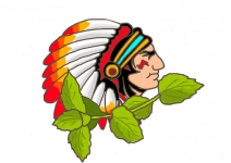 Indianische Hänge Minze